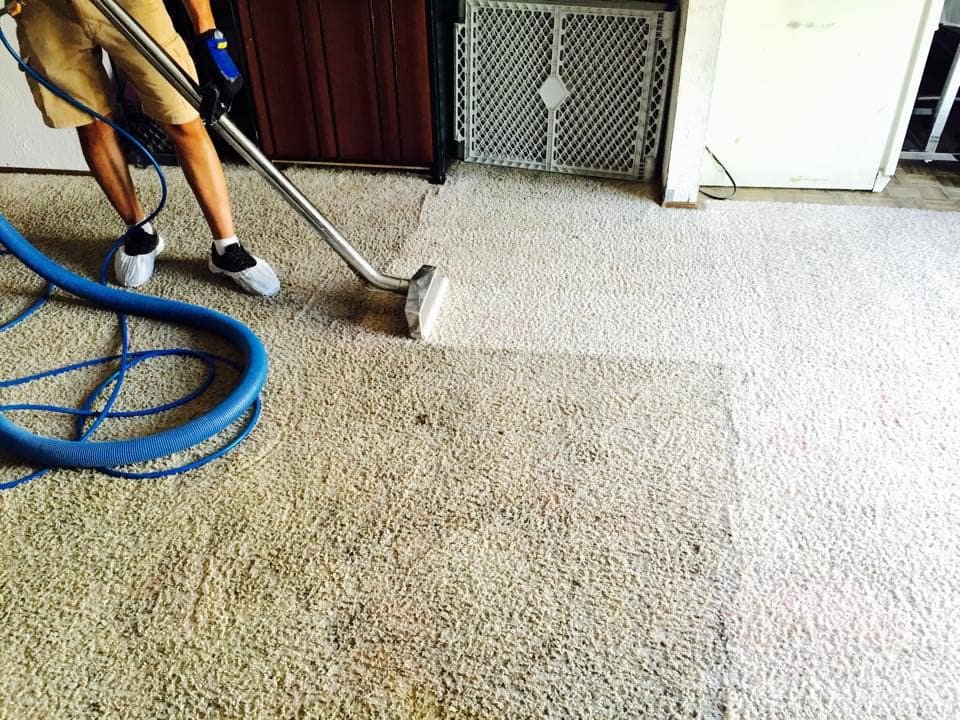 Carpet care service