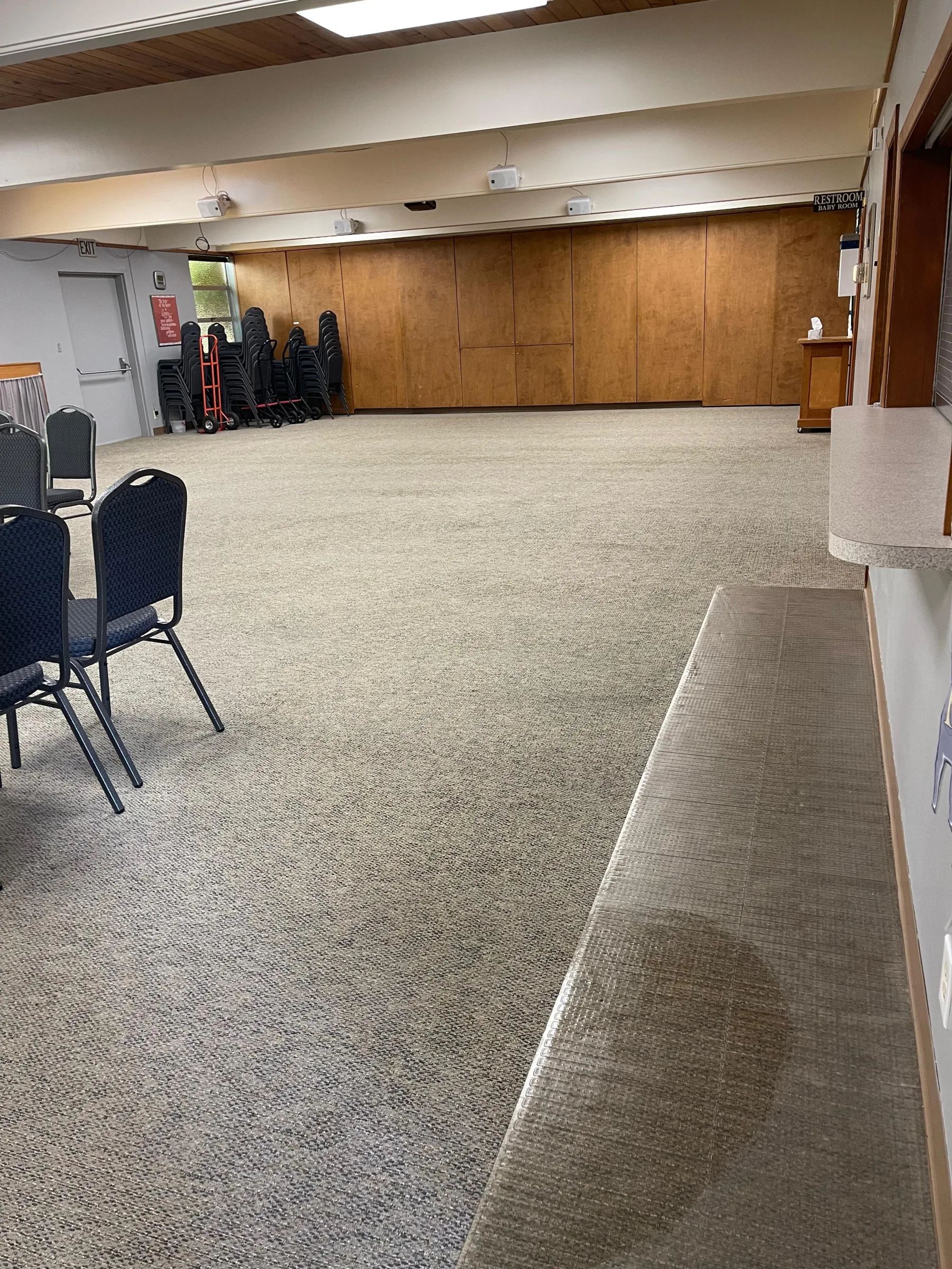 Carpet Care